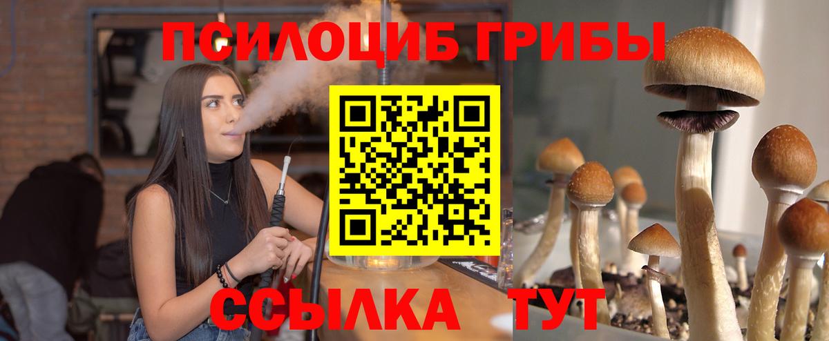 Псилоцибиновые грибы Cubensis Медногорск
