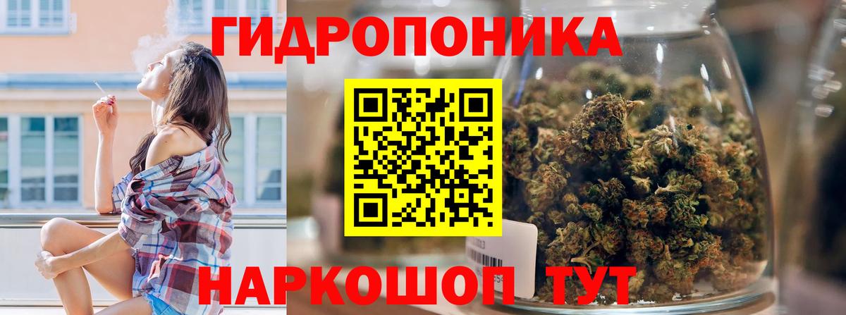Марихуана семена Медногорск